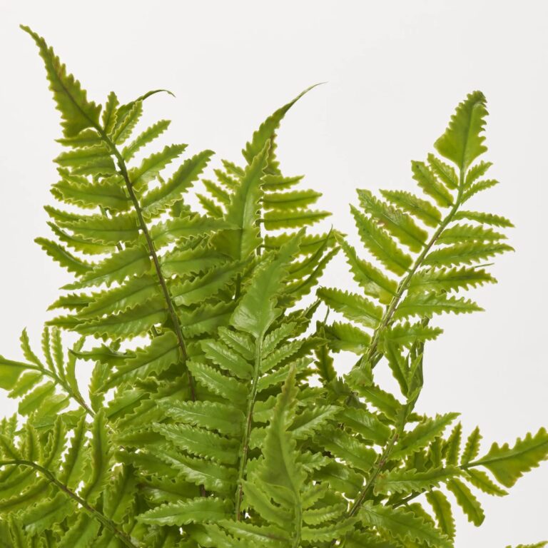 Close-up of bloom tips on this Medium Boston Fern Bush Faux Greenery Stem Bouquet