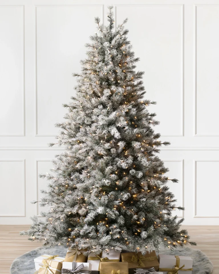 Frosted Sugar Pine
