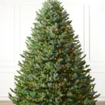 BH Fraser Fir Wide