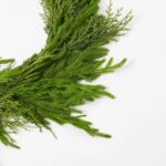 Close-up of greenery along the garland on this Deluxe Real Touch Winter Greenery Christmas Mantel