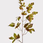 Faux Grape Ivy Stem in Green Eggplant - 48 inch