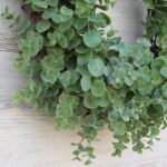 Detail view of layered greenery detail from the Gray - Green Eucalyptus Everyday Front Door