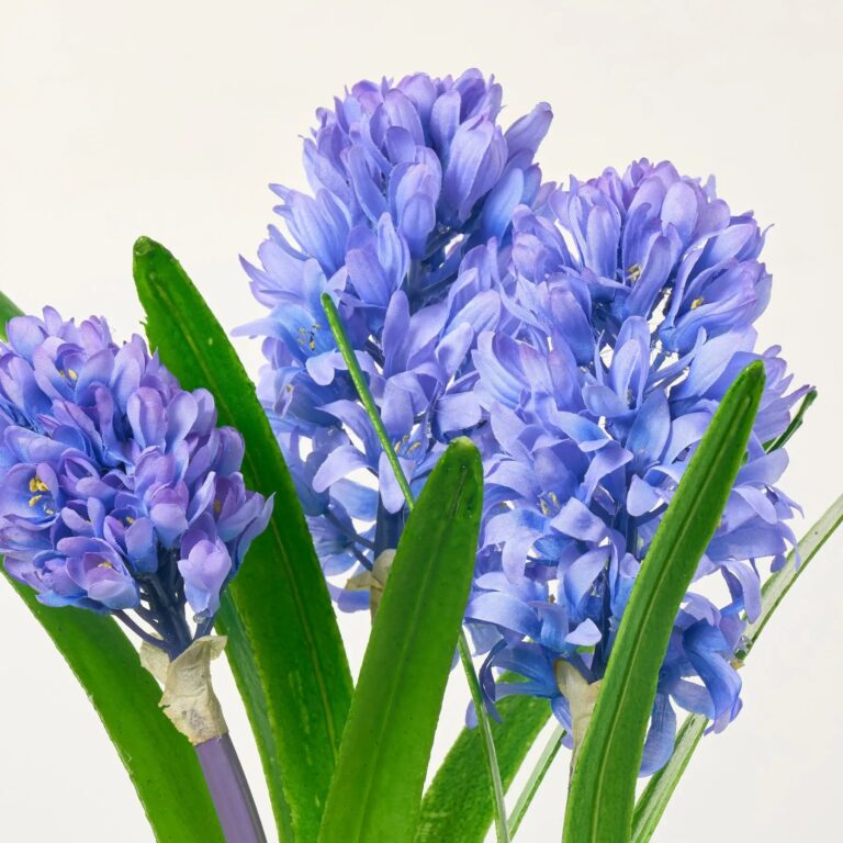 Close-up of leaf foliage texture on this Violet Blue Hyacinth Bulbs Artificial Indoor Houseplant in