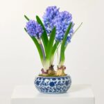 Violet Blue Hyacinth Bulbs Artificial Indoor Houseplant in Blue and White Chinoiserie Piot, flower arrangement