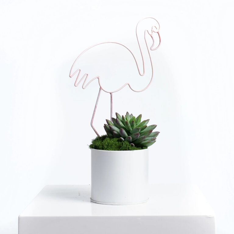 Close-up of leaf foliage texture on this Retro Pink Flamingo Wire Form Live Planter Pot