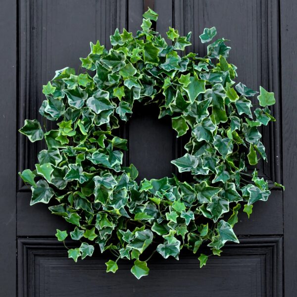 Green Variegated Real Touch English Ivy Everyday All Seasons Front Door Wreath