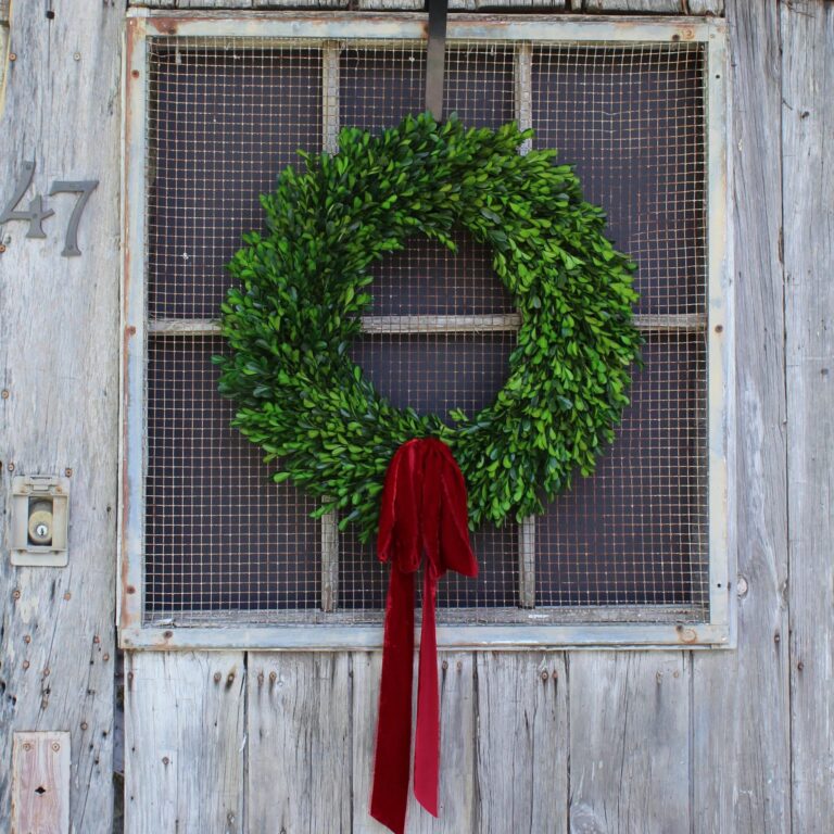 Natural Preserved Green Boxwood Wreath with Velvet Ribbon