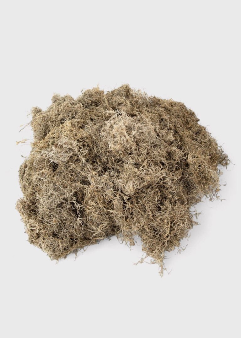 Close-up of vase silhouette detail on this Natural Dried Spanish Moss vase