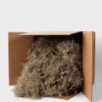 Natural Dried Spanish Moss, vase