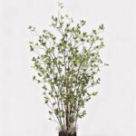 Faux Mini Leaf Tree Potted Plant - 60 inch