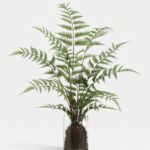 Fake Forest Fern Plant Arrangement in Glass Vase - 25 inch