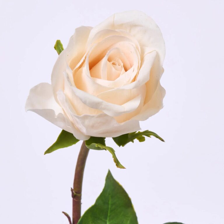 Close-up of bloom tips on this Real Touch Beige Single Rose Faux Floral Stem