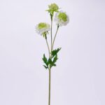 White and Green Blooming Scabiosa Branch Single Stem Faux Floral Spray - 30 inch