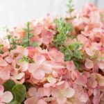 Full display view of the Light Pink Hydrangea and Mixed Tin Window Planter with full