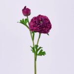 Real Touch Blooming Dark Beauty Ranunculus Spray Single Faux Floral Stem - 19 inch