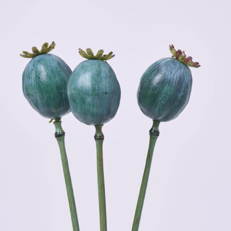Close-up of bloom tips on this Teal Blue Poppy Pods Single Faux Stem Spray