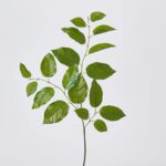 Real Touch Triple Salal Leaf Branch Spray Faux Everyday Greenery - 31 inch