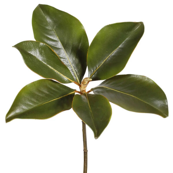 Real Touch Classic Magnolia Leaf Pick Stem - 14 inch