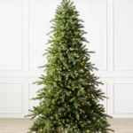 Norwegian Grand Fir