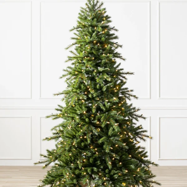 Norwegian Grand Fir