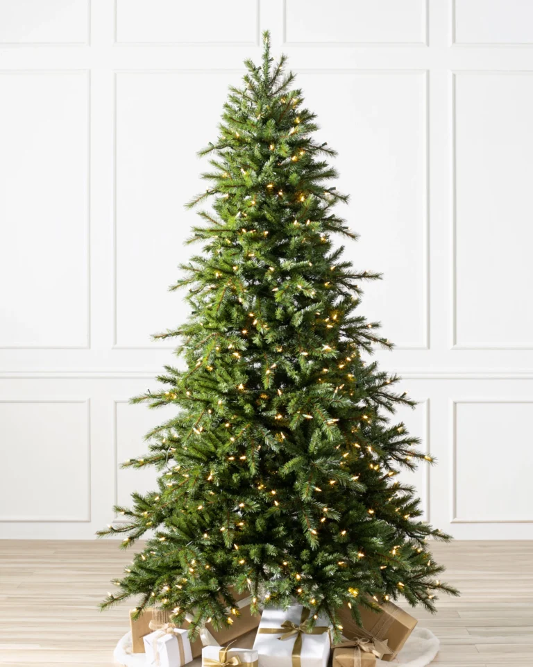Norwegian Grand Fir