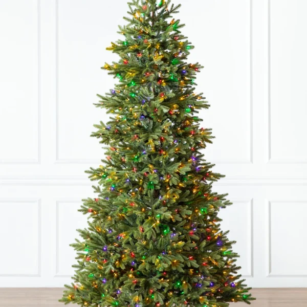 BH Norway Spruce
