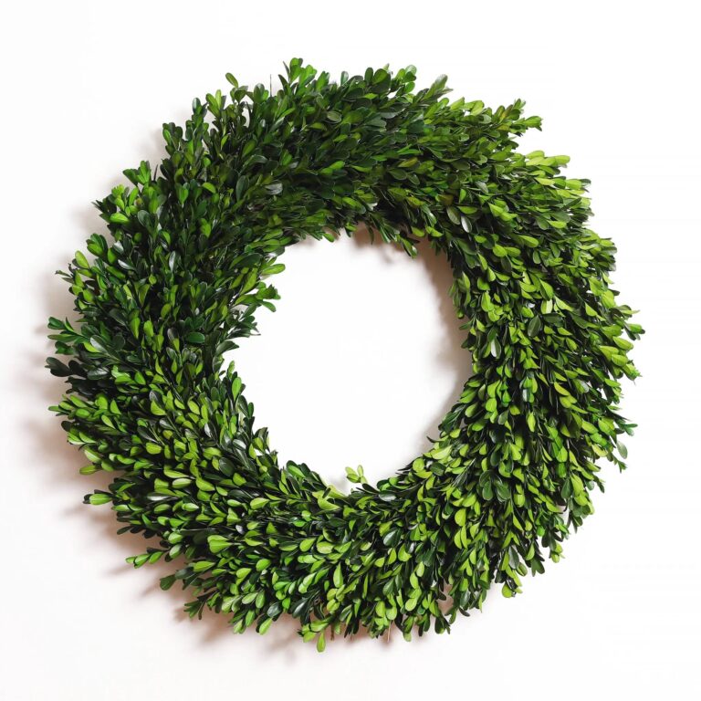 Close-up of blooms and berries on this Natural Preserved Green Boxwood Everyday Wreath 22 inch