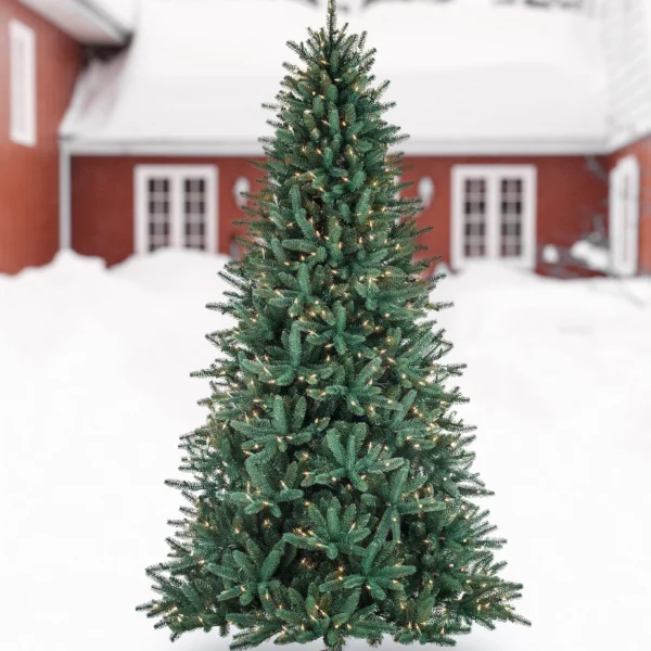 Oakville Outdoor