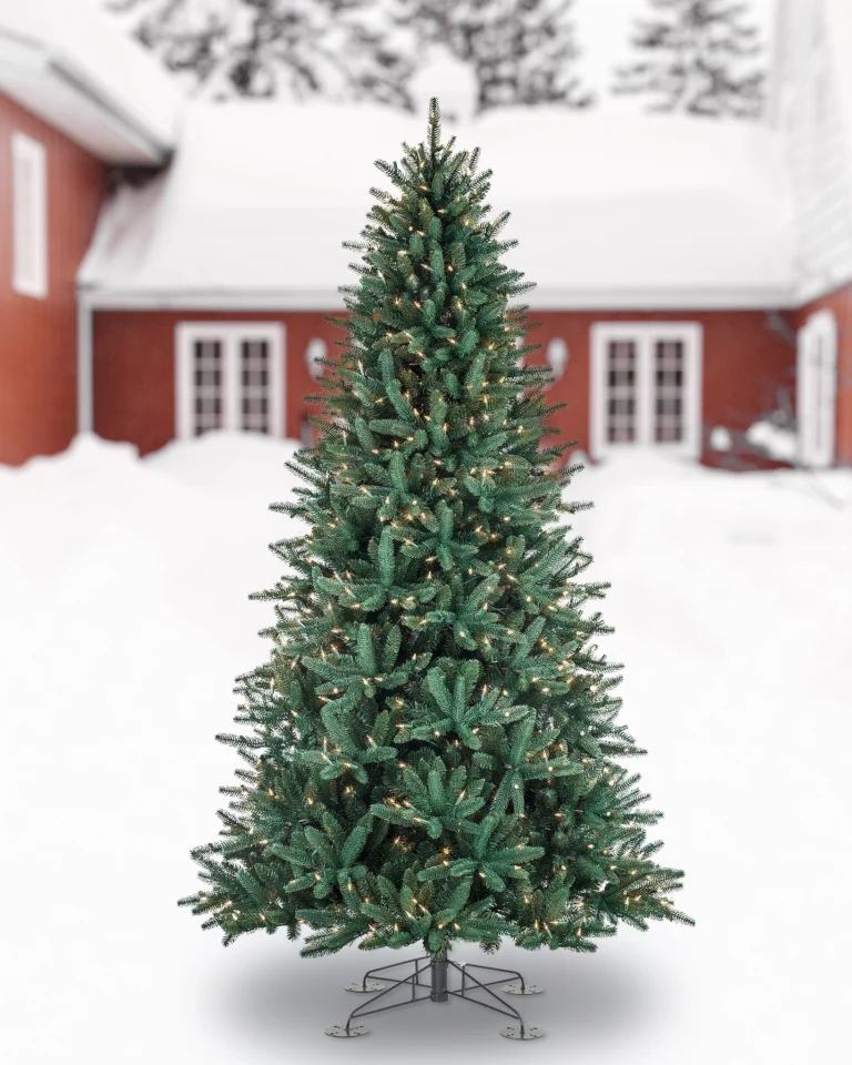 Oakville Outdoor