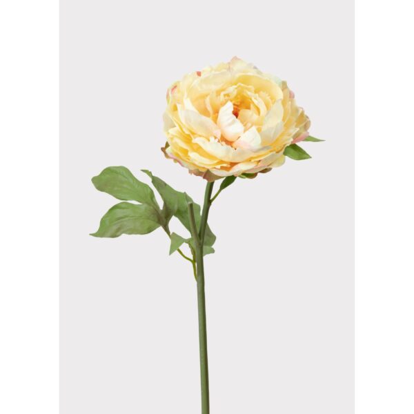 20-inch Real Touch Peony Stem - Yellow
