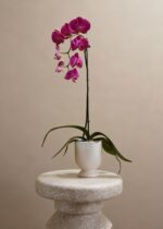 Alternate angle of the Footed Ceramic Laney Vase Ceramic Laney Vase showing bloom arrangement in