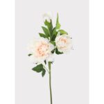 26" Real Touch Peony Stem - Pink