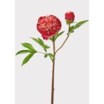 26" Real Touch Peony Stem - Cream