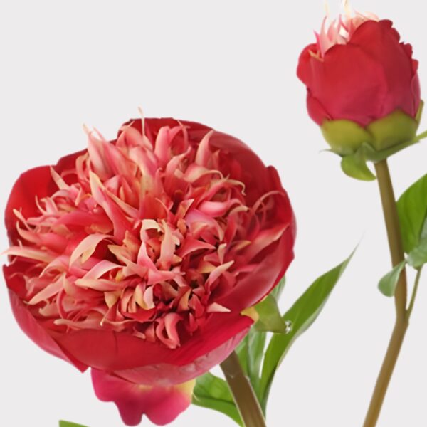 Close-up of bloom tips on this Red and Cream Fake Real Touch Peony with
