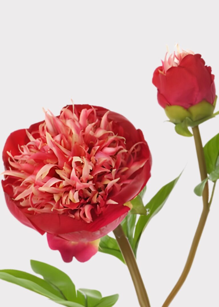 Close-up of bloom tips on this Red and Cream Fake Real Touch Peony with
