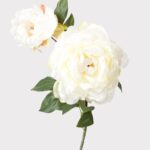 Cream Fake Blooming Peony with Bud - 19.5 inch, faux flower stems