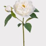 Natural Touch Peony Fake Flower in White - 35.5 inch, faux flower stems