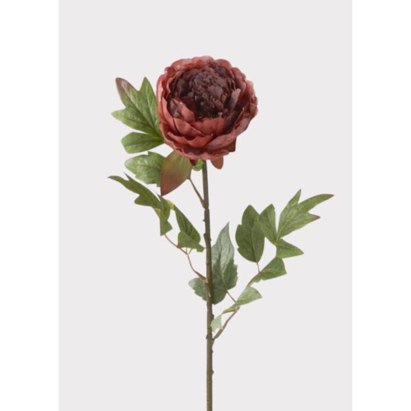 22" Real Touch Peony Stem - Burgundy