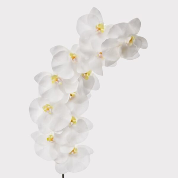 UV Treated Indoor Outdoor Real Touch Orchid Flower in White - 43 inch, faux flower
