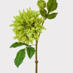 Large Green Dahlia Real Touch Fake Flower - 28 inch, faux flower stems