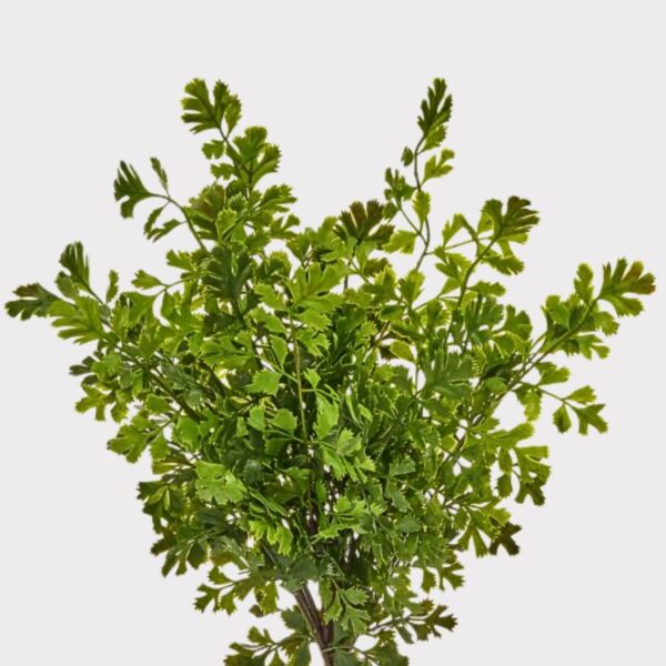 UV Treated Real Touch Fern Indoor Outdoor Plant - 17 inch
