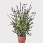 UV Treated Indoor Outdoor Real Touch Potted Lavender Plant - 25 inch