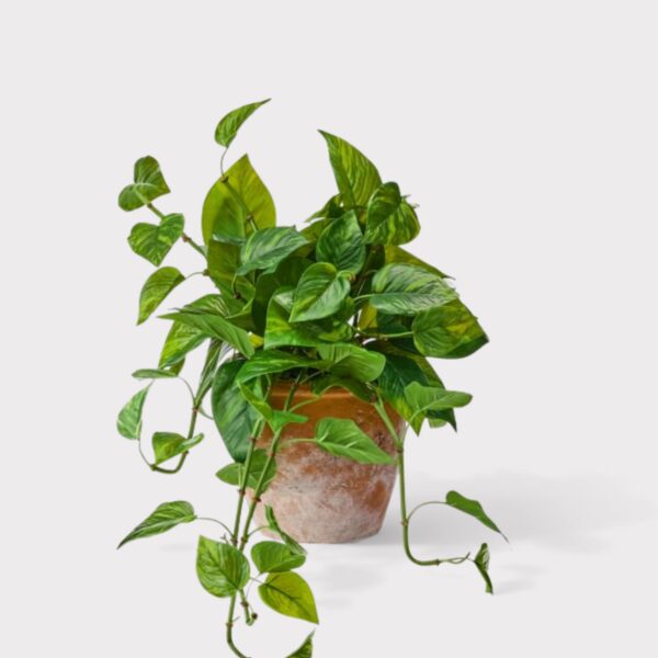 Close-up of leaf foliage texture on this Outdoor UV Treated Pothos Real Touch Potted Plant