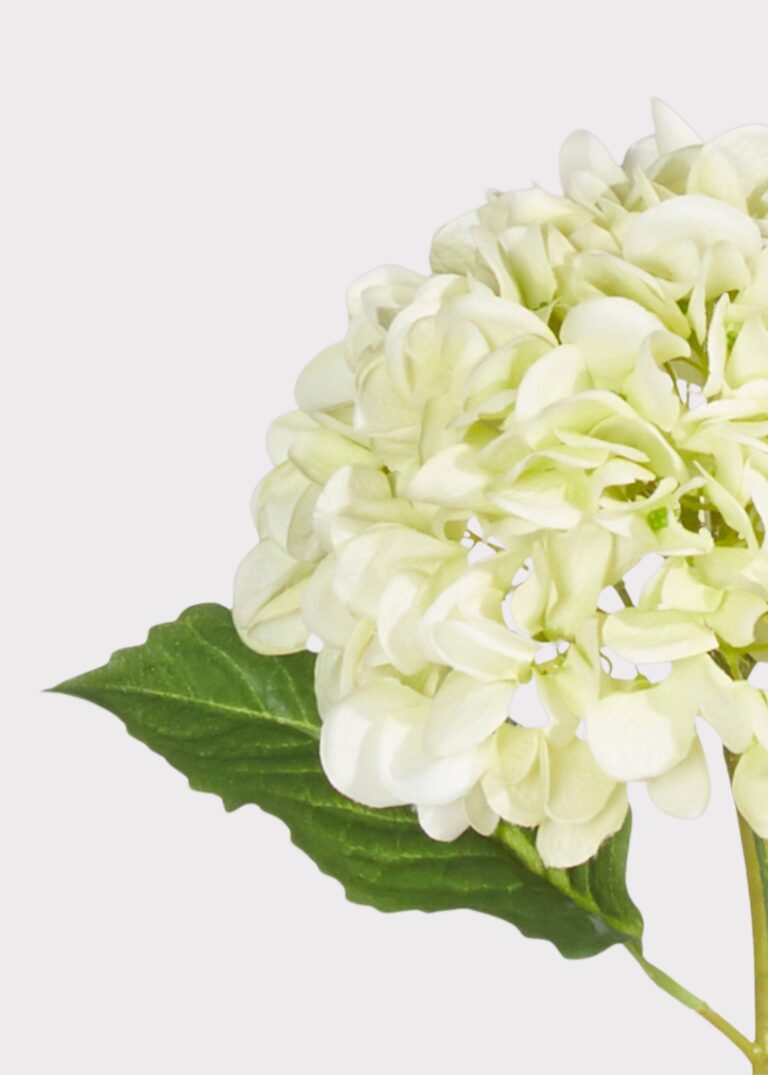 Close-up of bloom tips on this Real Touch Hydrangea Fake Flower in Light Green