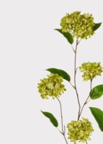 Close-up of bloom tips on this Tall Green Fake Snowball Hydrangea Branch - 45