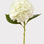 Cream White Hydrangea Real Touch Fake Flower - 18.5 inch, faux flower stems