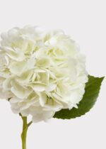 Alternate angle of the Cream White Hydrangea Real Touch Fake Flower - showing leaves along