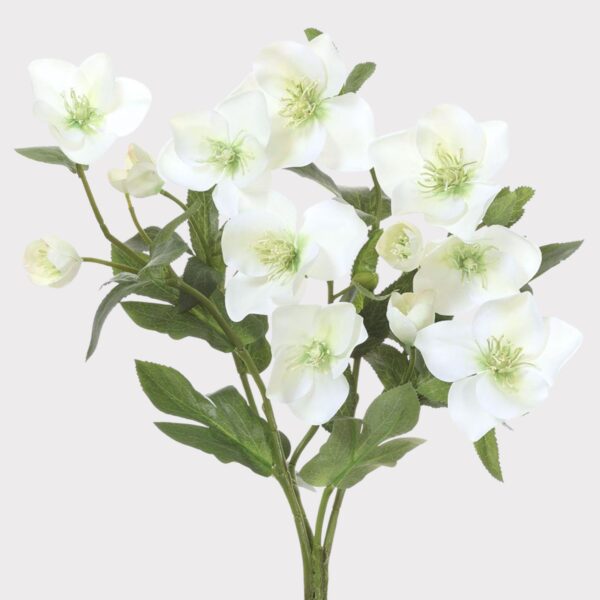 Cream Green Fake Helleborus Flower Bush - 14 inch