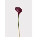 33" Real Touch Lily Stem - Purple