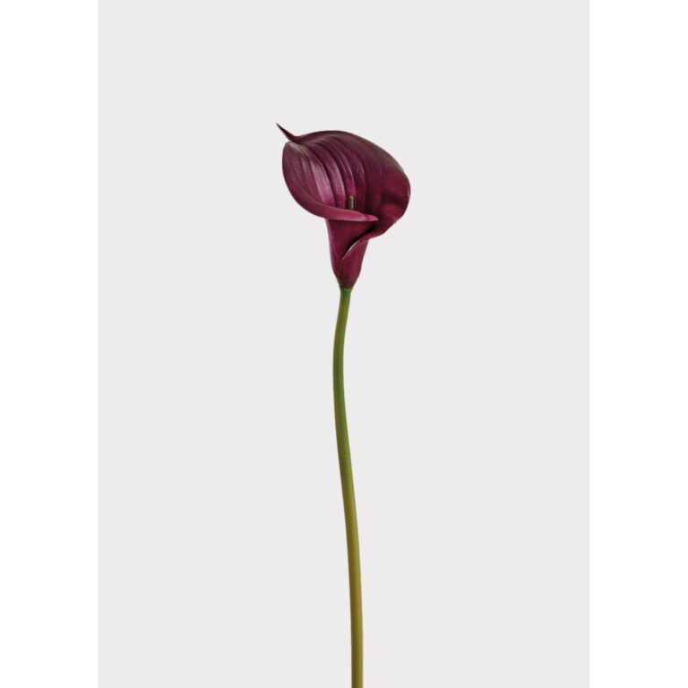 33-inch Real Touch Lily Stem - Purple